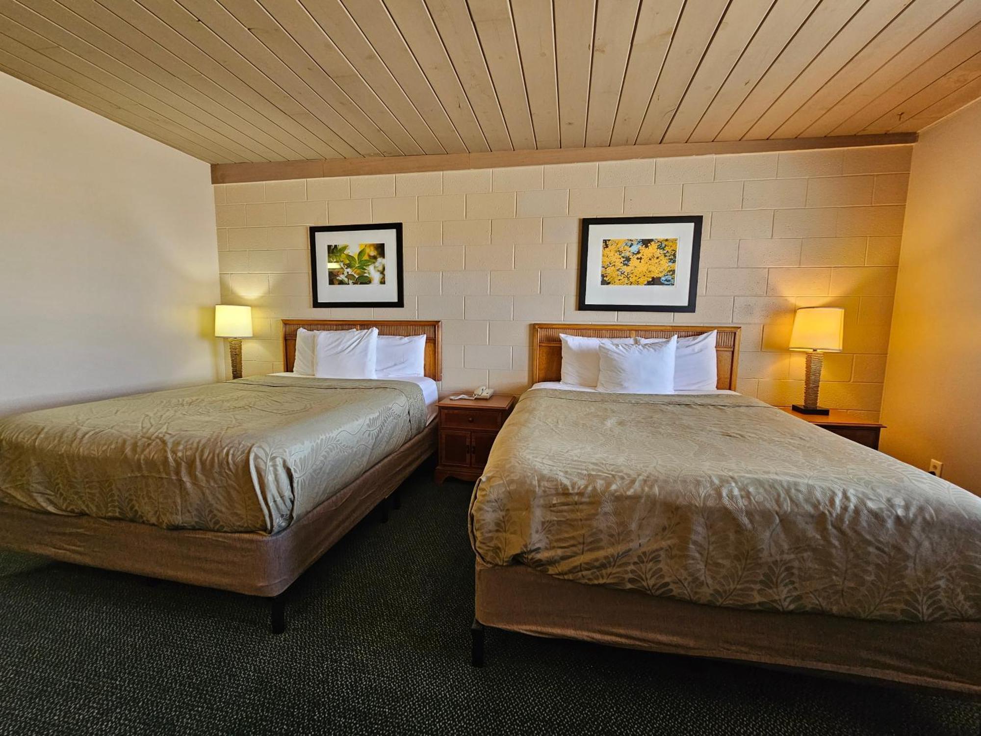 1St Choice Inn Of רולינס מראה חיצוני תמונה